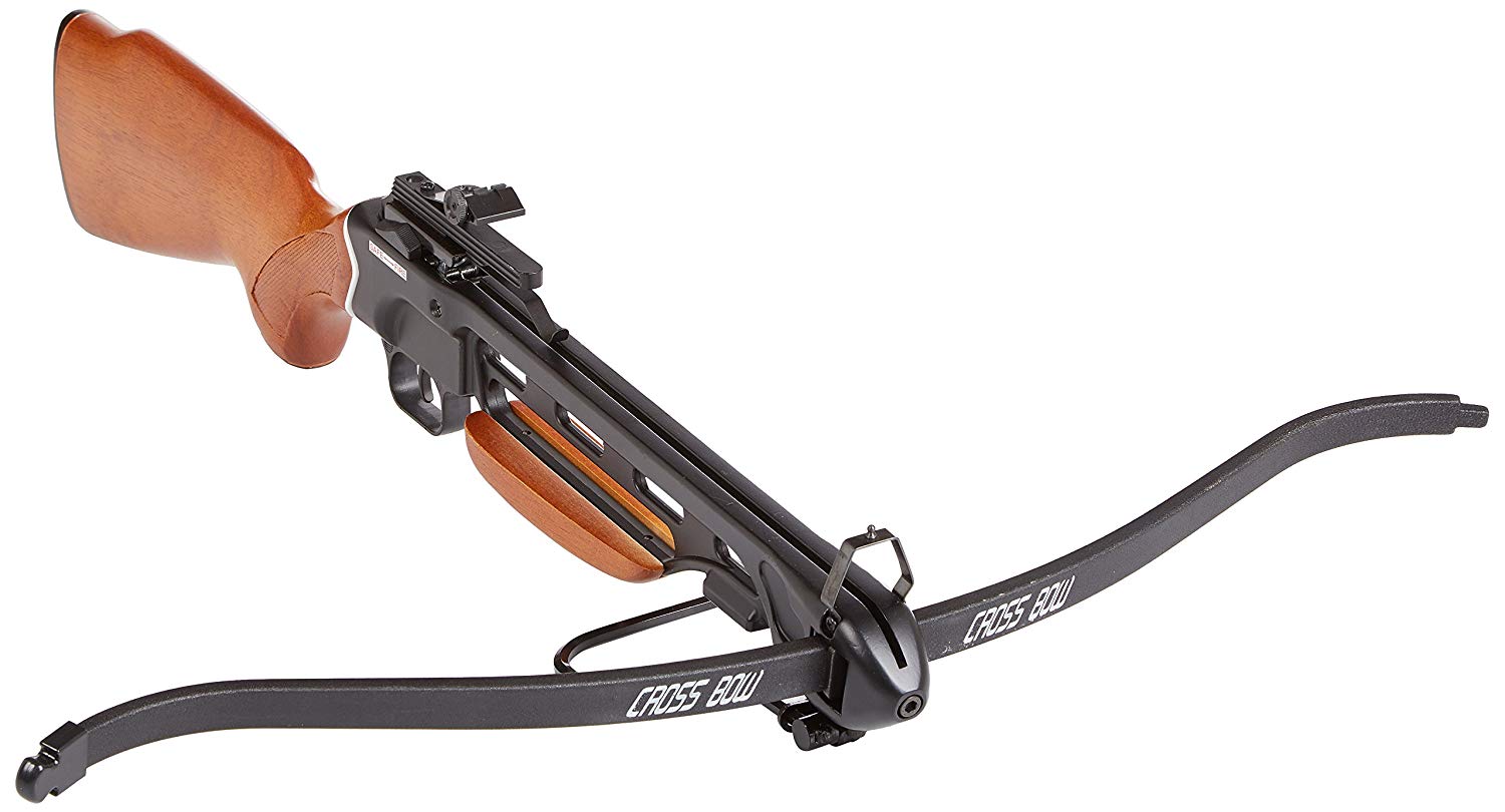 the best crossbow